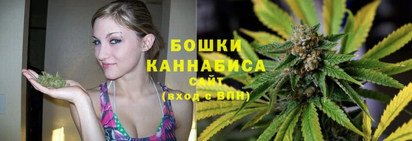 PSILOCYBIN Алексеевка