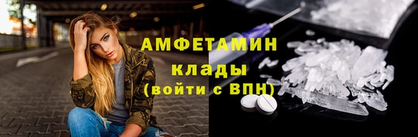 прущие грибы Армянск