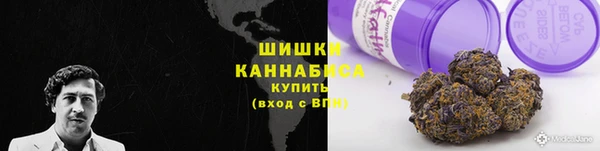 PSILOCYBIN Алексеевка