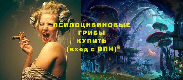 прущие грибы Армянск