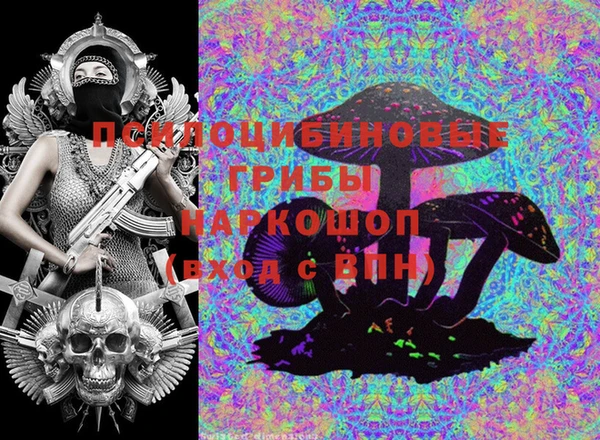 ешки Алексин