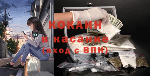 ешки Алексин