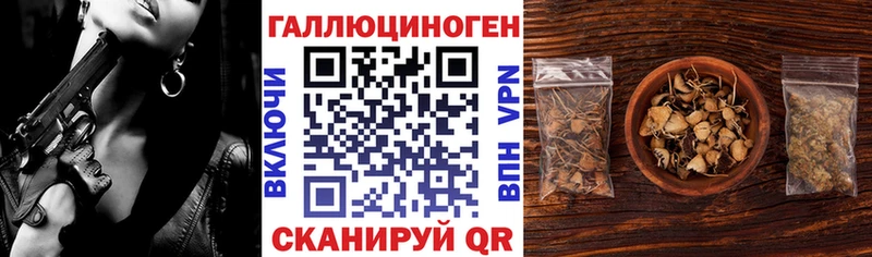 Псилоцибиновые грибы Psilocybine cubensis  Артёмовский 